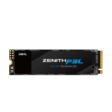 SSD GEIL P3L GZ80P3L-256GP 256GB