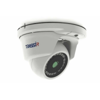 IP-камера Trassir CloudOutdoorSphere