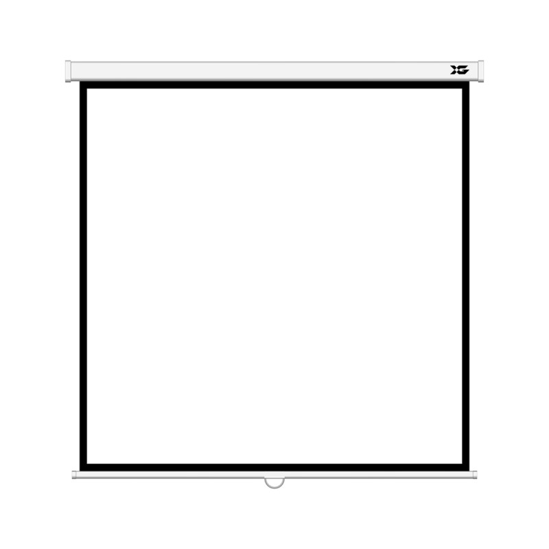 Экран XG DLS-M213xW (84