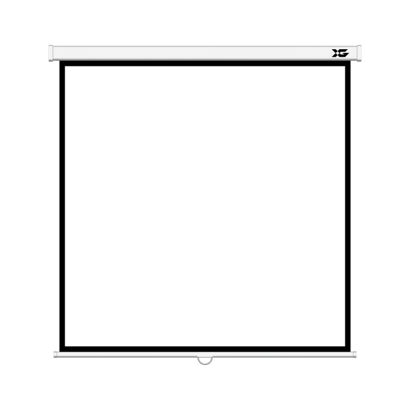 Экран XG DLS-M244W (96