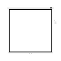 Экран моторизированный XG DLS-E213x (84