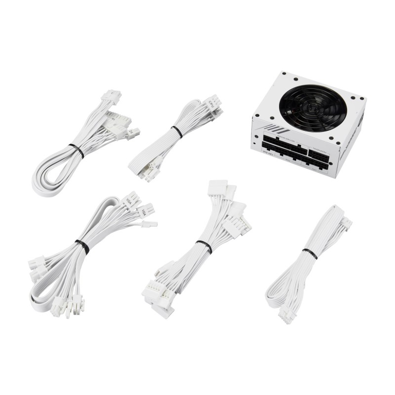 Блок питания FSP DAGGER PRO(ATX3.1) 850W White