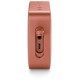Акустическая система JBL GO 2 (JBLGO2CINNAMON)