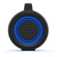Портативная акустика Sony SRS-XG500 (SRSXG500B.RU4)