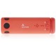 Портативная акустика Accesstyle Shamrock BT