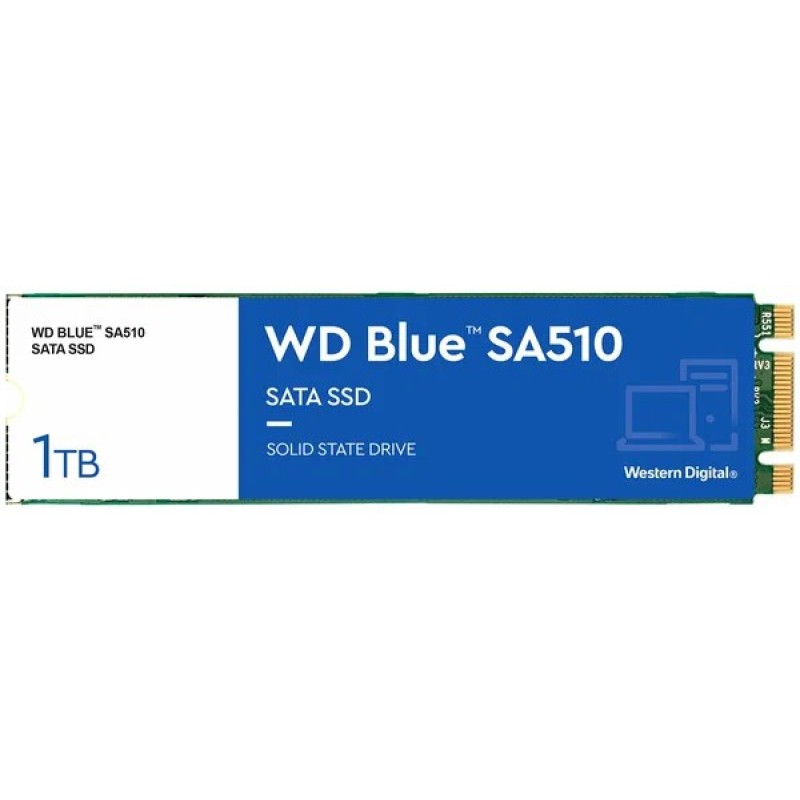 Western Digital WDS100T3B0B