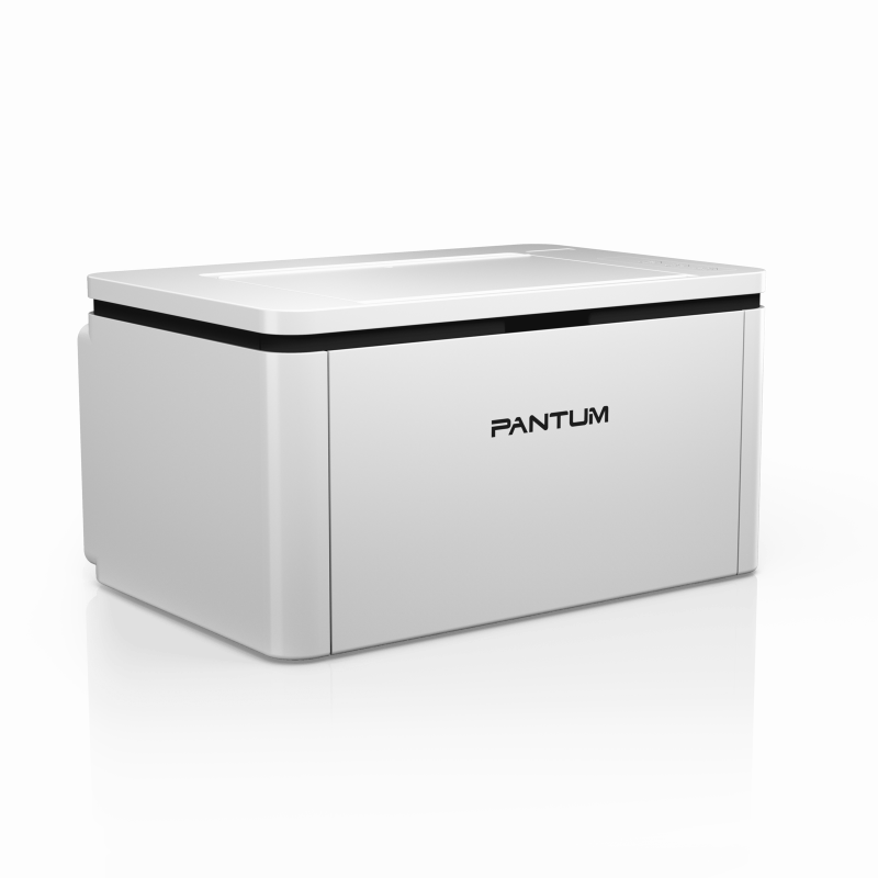 Принтер Pantum BP2300 (BP2300) Лазерная A4 Черно-белый USB