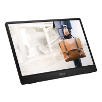 Портативный монитор MSI PRO MP161 E2 15.6" IPS (Full HD, 60 Гц, ультратонкий, USB-C)