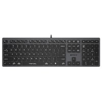 Клавиатура A4Tech Fstyler FX50 серый USB slim Multimedia