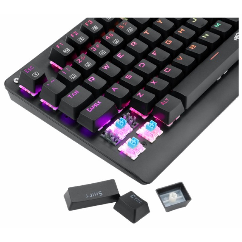 Игровая клавиатура Redragon Sani Black USB