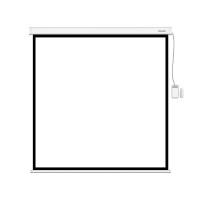 Экран Deluxe DLS-ERC203x153W