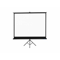 Экран PROscreen TLZ1084 (213*213)