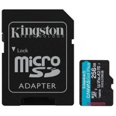 Карта памяти Kingston SDCG3/256GB 256GB