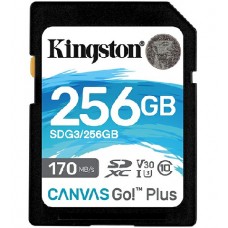 Карта памяти Kingston SDG3/256GB 256GB