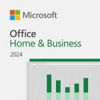 Microsoft Office Home and Business 2024 Russian Kazakhstan Only Medialess (EP2-06681), 1 ПК