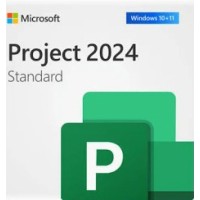 Microsoft Visio Professional 2024 EP2-07111 для Windows, 1 лицензия, все языки