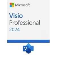 Microsoft Visio Professional 2024 EP2-07111 для Windows, 1 лицензия, все языки