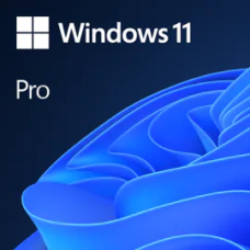 Microsoft Windows 11 Pro OEM FQC-10547 64-bit Russian, DVD